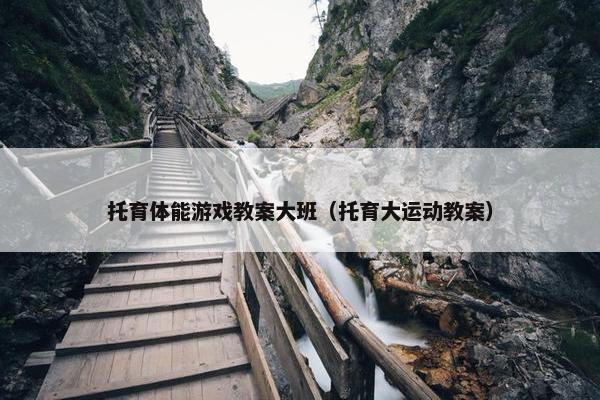 托育体能游戏教案大班（托育大运动教案）