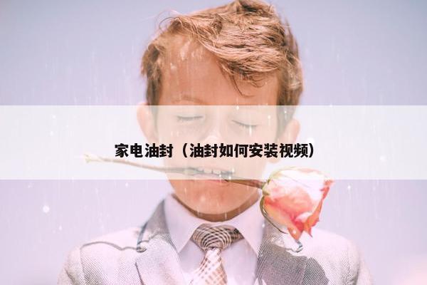 家电油封（油封如何安装视频）