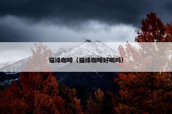 猫缘咖啡（猫缘咖啡好喝吗）