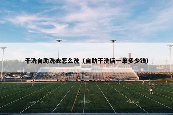 干洗自助洗衣怎么洗（自助干洗店一单多少钱）