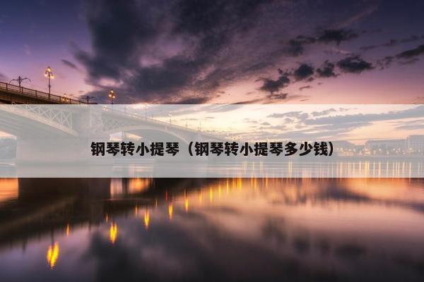 钢琴转小提琴（钢琴转小提琴多少钱）