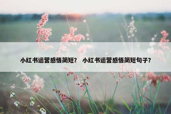 小红书运营感悟简短？ 小红书运营感悟简短句子？