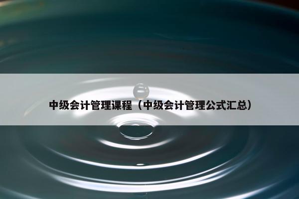 中级会计管理课程（中级会计管理公式汇总）