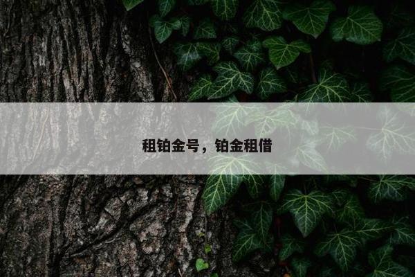 租铂金号，铂金租借
