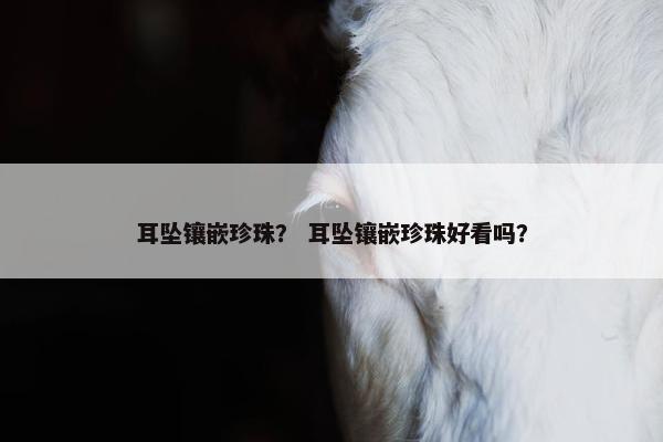 耳坠镶嵌珍珠？ 耳坠镶嵌珍珠好看吗？