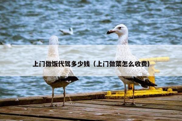 上门做饭代驾多少钱（上门做菜怎么收费）