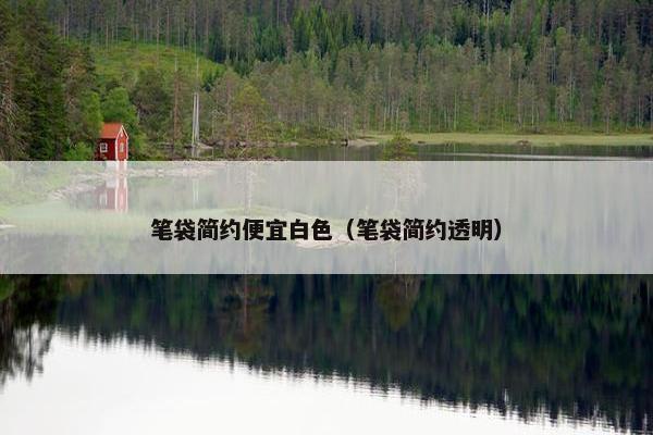 笔袋简约便宜白色(笔袋简约透明) 笔袋简约便宜白色(笔袋简约透明)