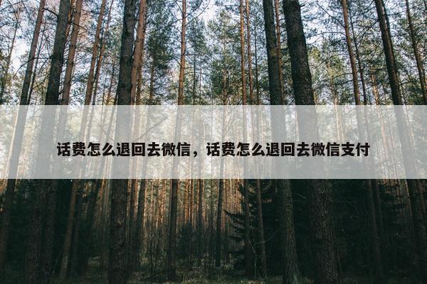 话费怎么退回去微信，话费怎么退回去微信支付