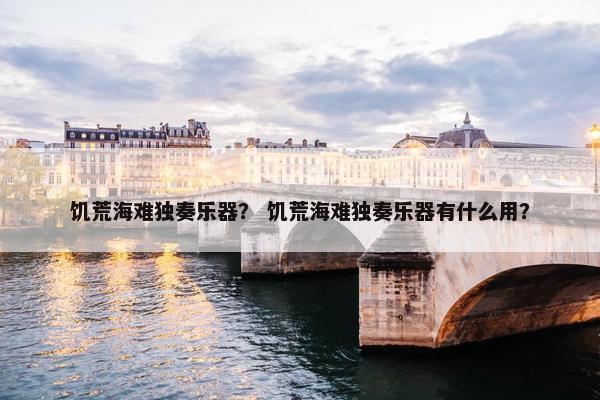 饥荒海难独奏乐器？ 饥荒海难独奏乐器有什么用？