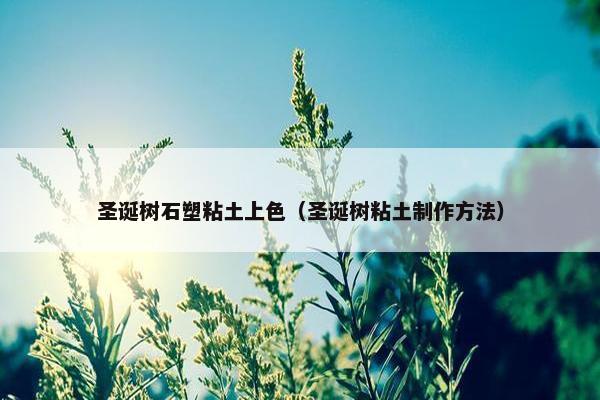 圣诞树石塑粘土上色（圣诞树粘土制作方法）