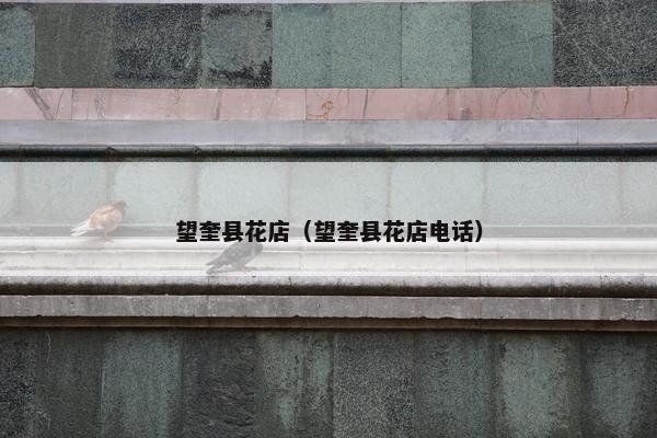 望奎县花店（望奎县花店电话）