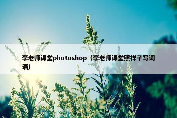 李老师课堂photoshop（李老师课堂照样子写词语）