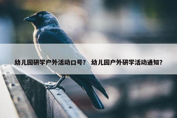 幼儿园研学户外活动口号？ 幼儿园户外研学活动通知？