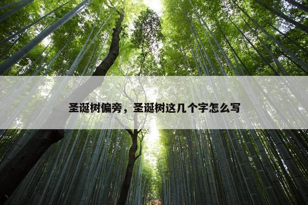 圣诞树偏旁，圣诞树这几个字怎么写