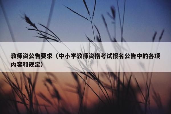 教师资公告要求(中小学教师资格考试报名公告中的各项内容和规定) 教师资公告要求(中小学教师资格考试报名公告中的各项内容和规定)