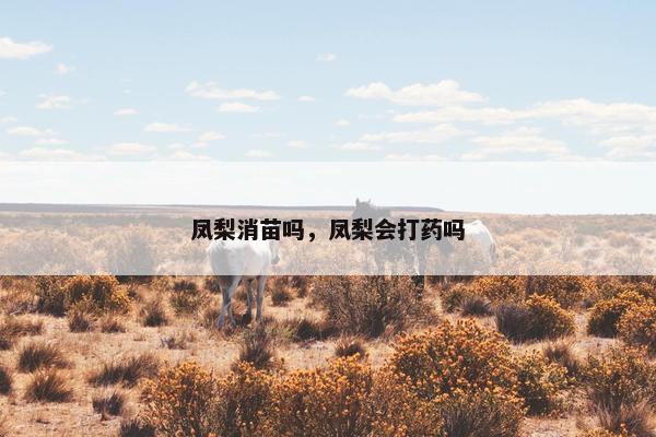 凤梨消苗吗，凤梨会打药吗