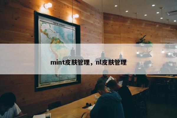 mint皮肤管理，nl皮肤管理