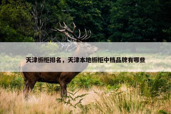 天津橱柜排名，天津本地橱柜中档品牌有哪些