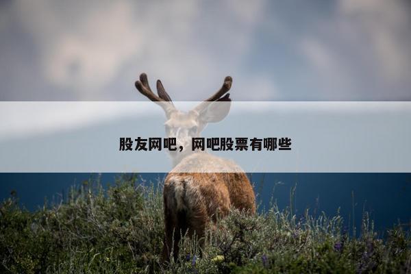股友网吧,网吧股票有哪些 股友网吧,网吧股票有哪些