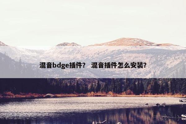 混音bdge插件? 混音插件怎么安装? 混音bdge插件? 混音插件怎么安装?