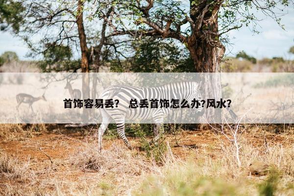 首饰容易丢? 总丢首饰怎么办?风水? 首饰容易丢? 总丢首饰怎么办?风水?