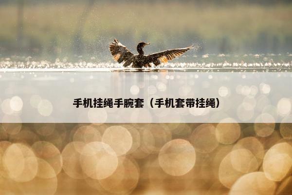 手机挂绳手腕套(手机套带挂绳) 手机挂绳手腕套(手机套带挂绳)
