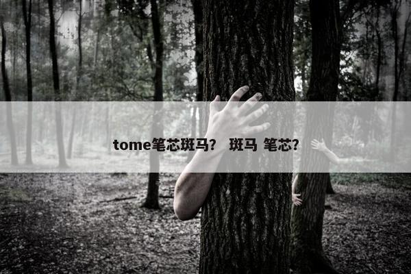 tome笔芯斑马？ 斑马 笔芯？