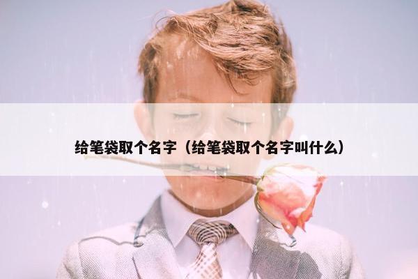 给笔袋取个名字（给笔袋取个名字叫什么）