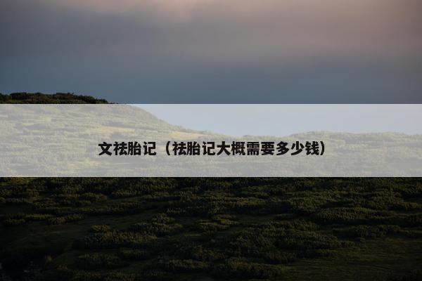 文祛胎记（祛胎记大概需要多少钱）