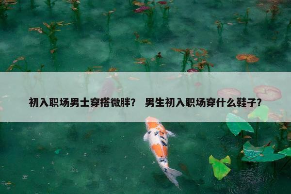 初入职场男士穿搭微胖？ 男生初入职场穿什么鞋子？