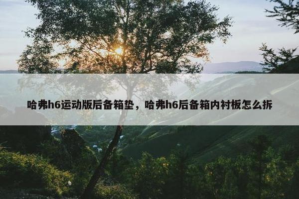 哈弗h6运动版后备箱垫，哈弗h6后备箱内衬板怎么拆