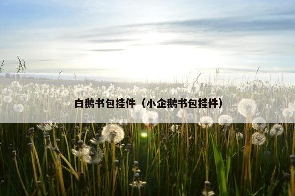 白鹅书包挂件（小企鹅书包挂件）