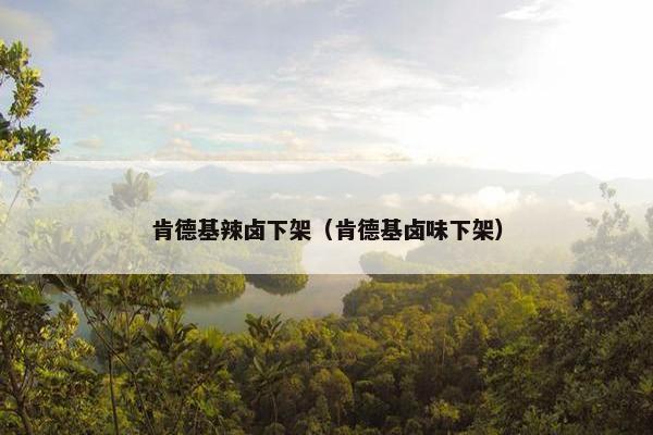 肯德基辣卤下架(肯德基卤味下架) 肯德基辣卤下架(肯德基卤味下架)