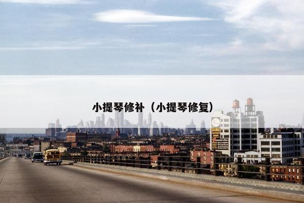 小提琴修补(小提琴修复) 小提琴修补(小提琴修复)