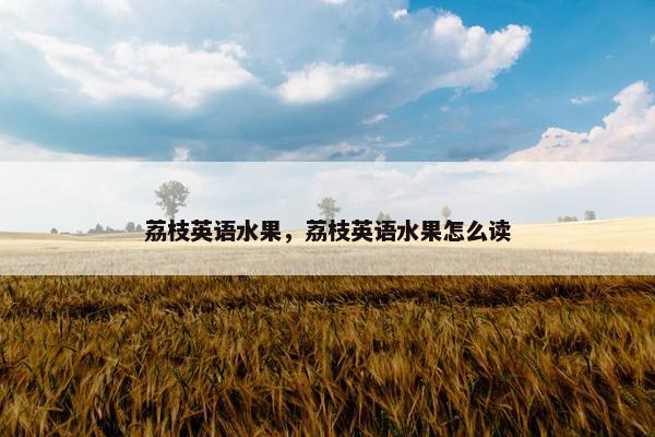 荔枝英语水果,荔枝英语水果怎么读 荔枝英语水果,荔枝英语水果怎么读