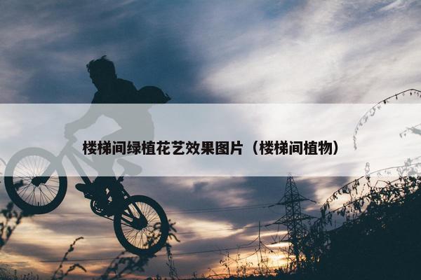 楼梯间绿植花艺效果图片（楼梯间植物）