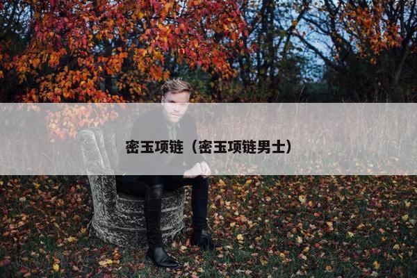 密玉项链（密玉项链男士）