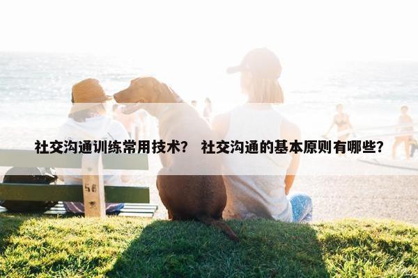 社交沟通训练常用技术? 社交沟通的基本原则有哪些? 社交沟通训练常用技术? 社交沟通的基本原则有哪些?