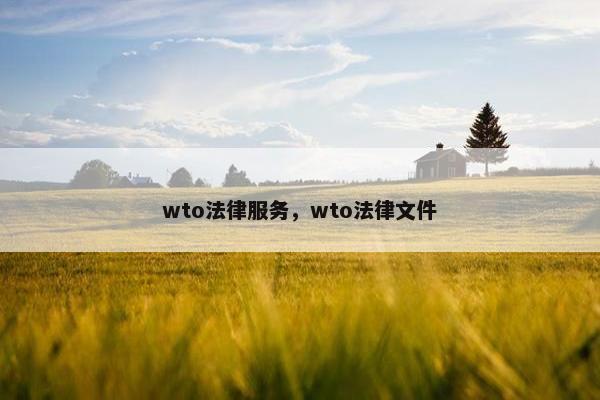 wto法律服务，wto法律文件