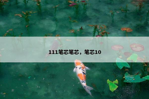 111笔芯笔芯,笔芯10 111笔芯笔芯,笔芯10