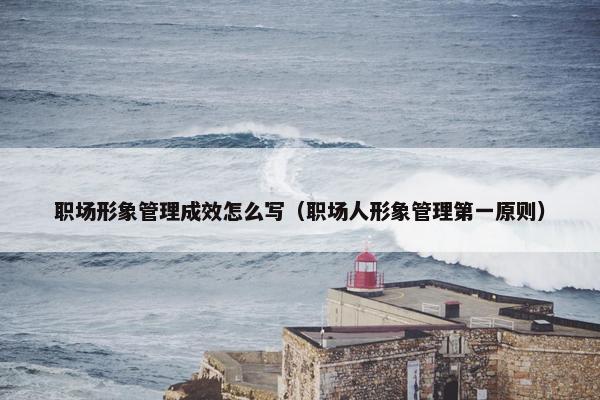 职场形象管理成效怎么写(职场人形象管理第一原则) 职场形象管理成效怎么写(职场人形象管理第一原则)