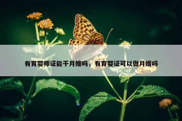 有育婴师证能干月嫂吗，有育婴证可以做月嫂吗