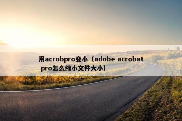 用acrobpro变小（adobe acrobat pro怎么缩小文件大小）