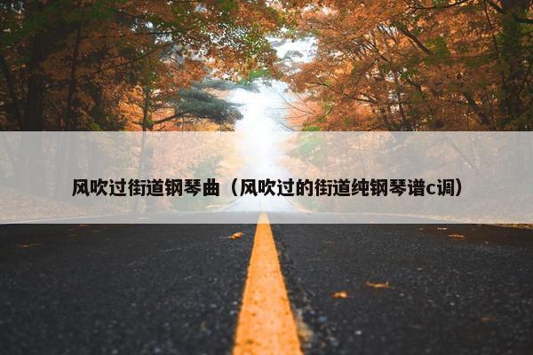 风吹过街道钢琴曲（风吹过的街道纯钢琴谱c调）