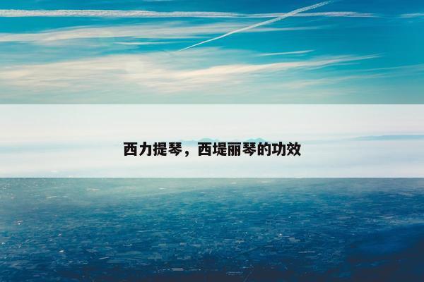 西力提琴，西堤丽琴的功效