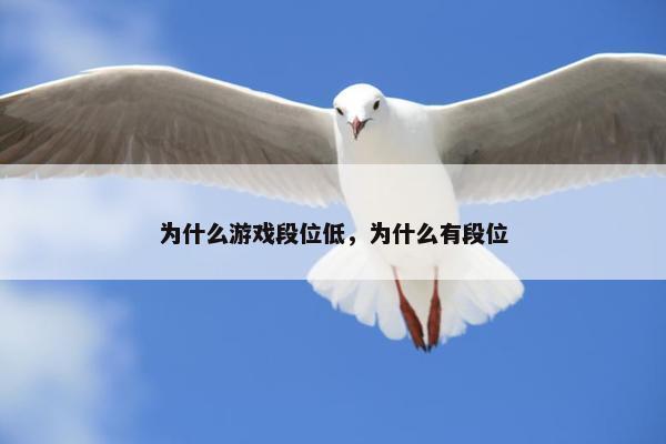 为什么游戏段位低，为什么有段位