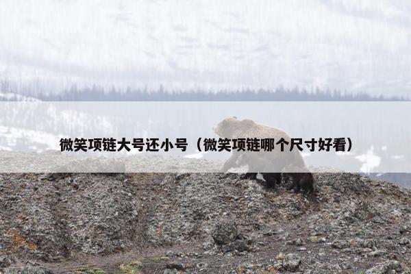 微笑项链大号还小号(微笑项链哪个尺寸好看) 微笑项链大号还小号(微笑项链哪个尺寸好看)