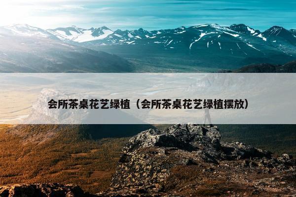 会所茶桌花艺绿植(会所茶桌花艺绿植摆放) 会所茶桌花艺绿植(会所茶桌花艺绿植摆放)