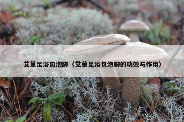 艾草足浴包泡脚（艾草足浴包泡脚的功效与作用）