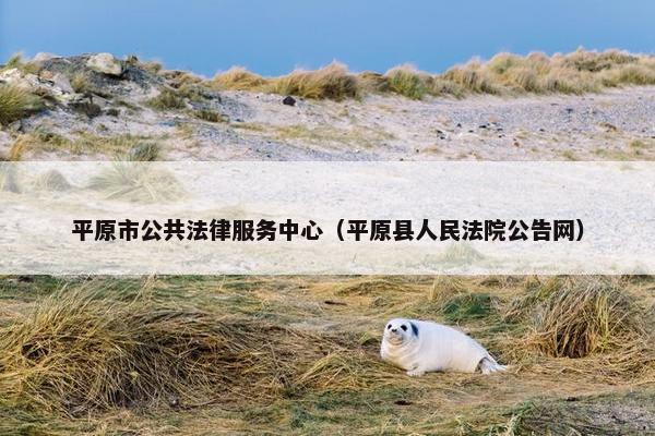 平原市公共法律服务中心(平原县人民法院公告网) 平原市公共法律服务中心(平原县人民法院公告网)
